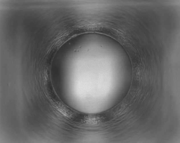 X0000057040746200509231446