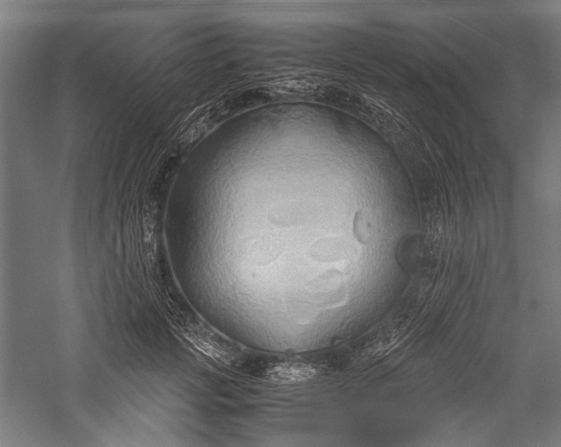 X0000057040749200509231446