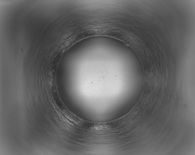 X0000057040752200509231447