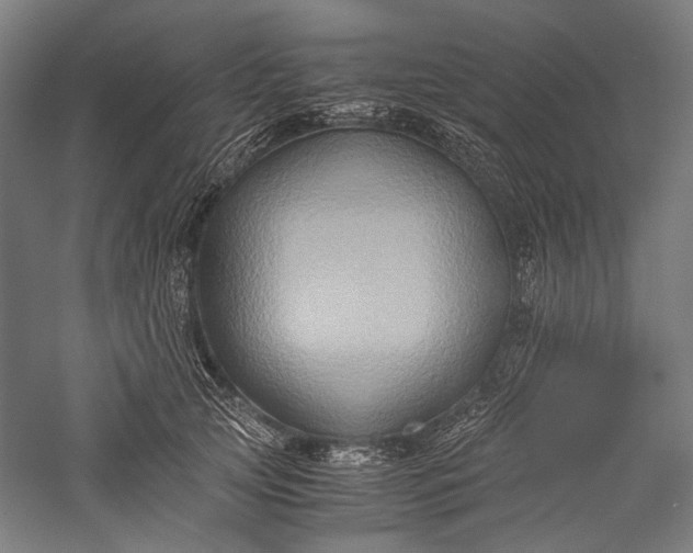 X0000057040753200509231447