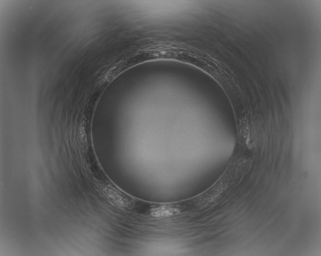 X0000057040754200509231447