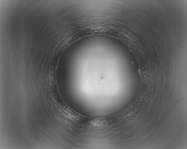 X0000057040756200509231447