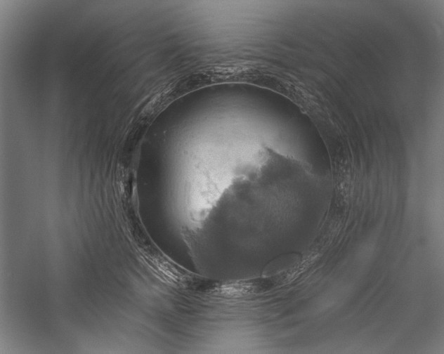 X0000057040758200509231447