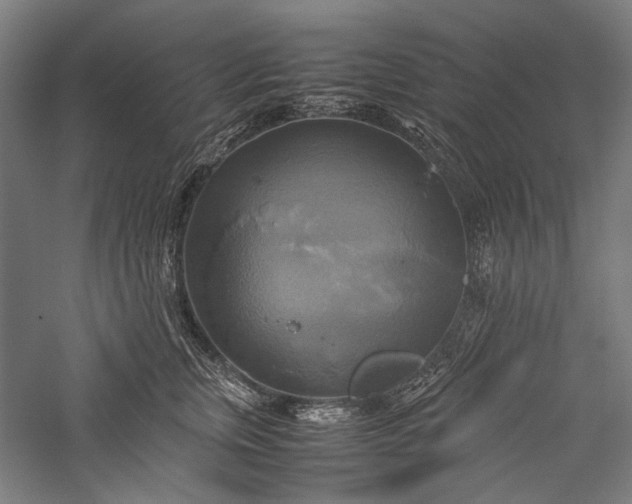 X0000057040759200509231447