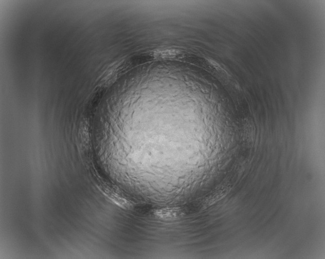 X0000057040761200509231447