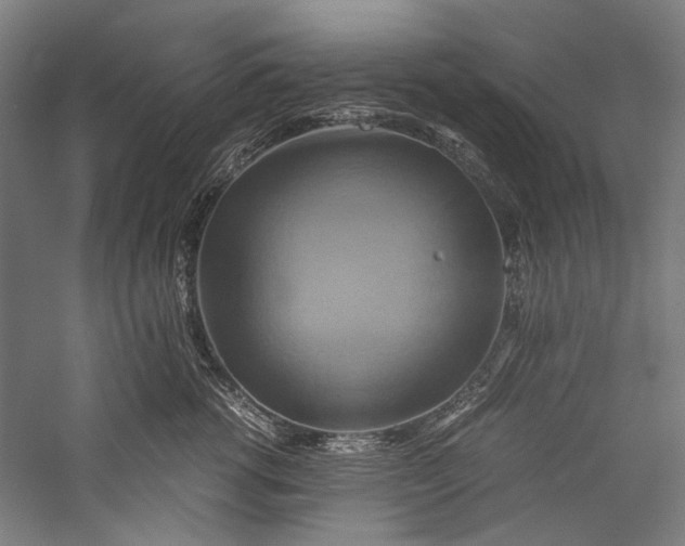 X0000057040762200509231447