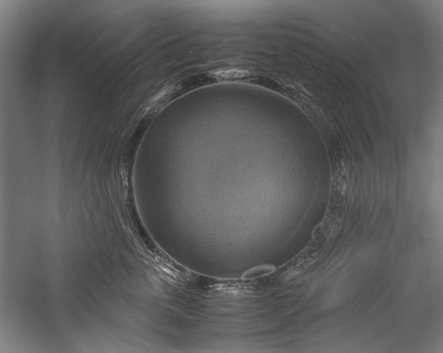 X0000057040763200509231447
