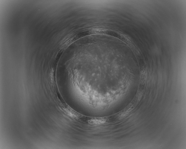 X0000057040765200509231447