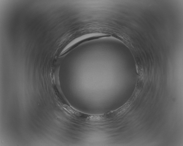 X0000057040766200509231447