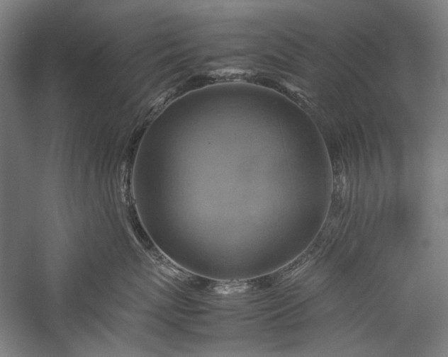 X0000057040767200509231447