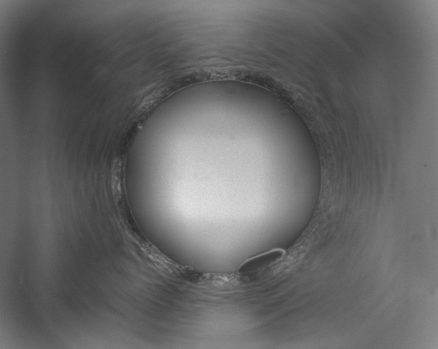 X0000057040768200509231447