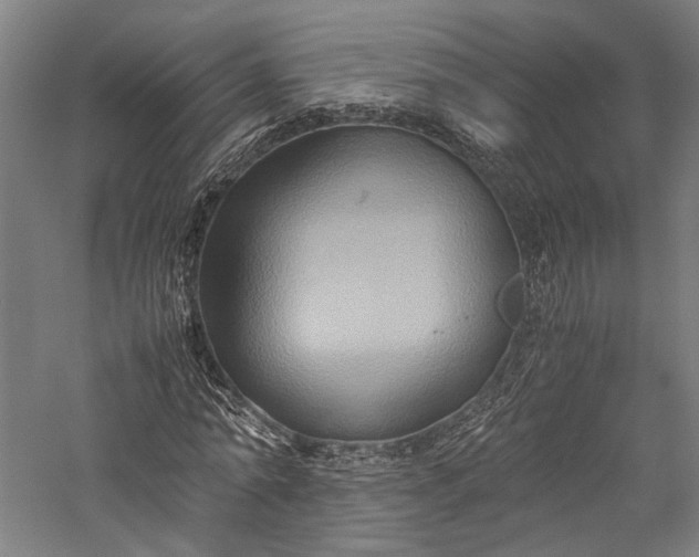 X0000057040774200509231446