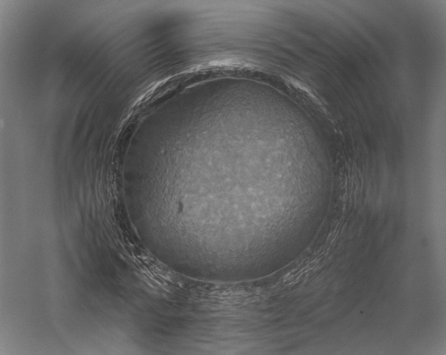 X0000057040776200509231446