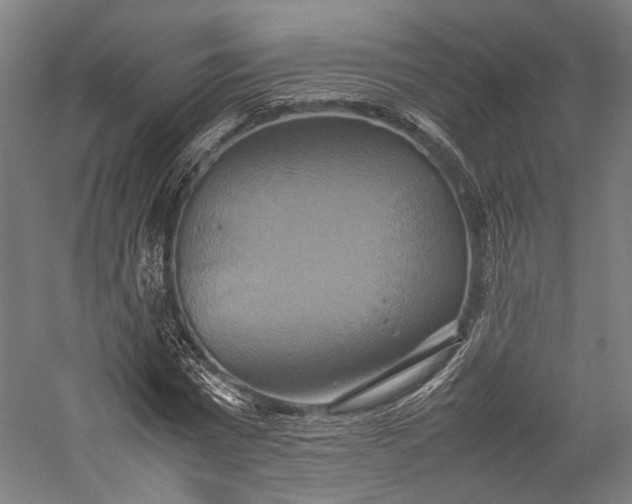 X0000057040777200509231446