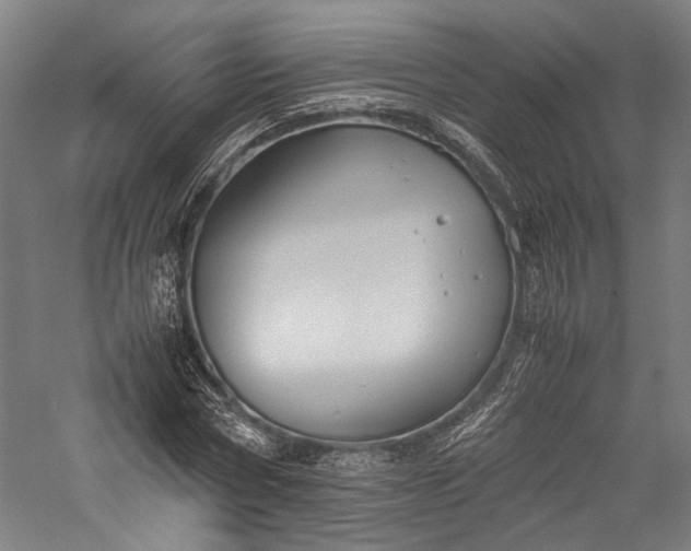 X0000057040778200509231446
