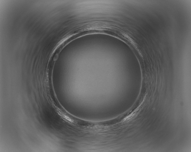 X0000057040779200509231446