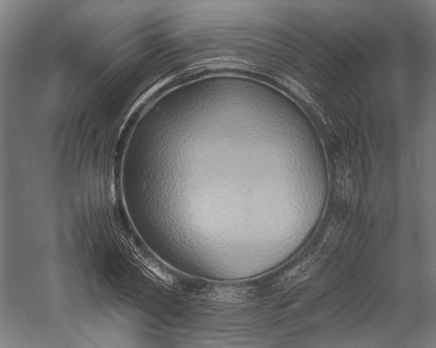 X0000057040782200509231446