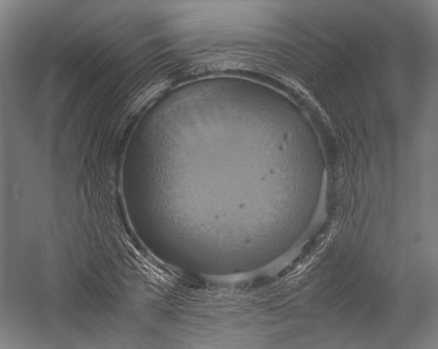 X0000057040785200509231446