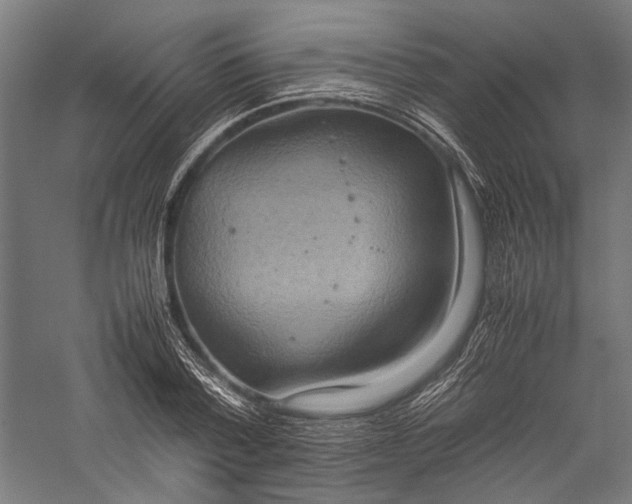 X0000057040788200509231446
