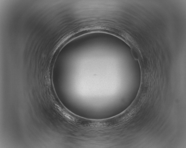 X0000057040789200509231446