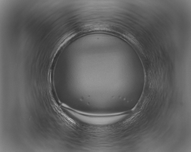 X0000057040790200509231446