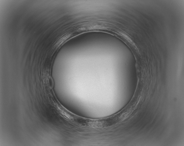 X0000057040793200509231446