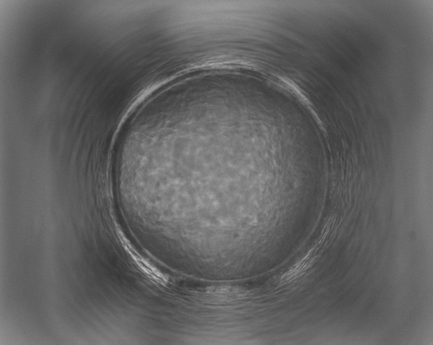 X0000057040795200509231446