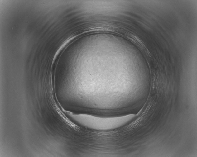 X0000057040796200509231446