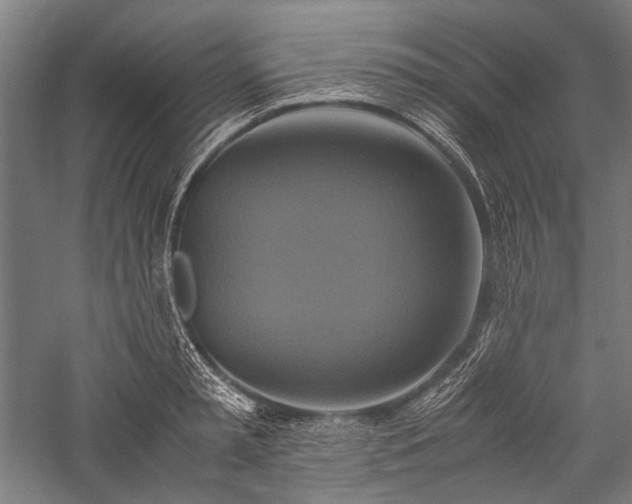 X0000057040797200509231446