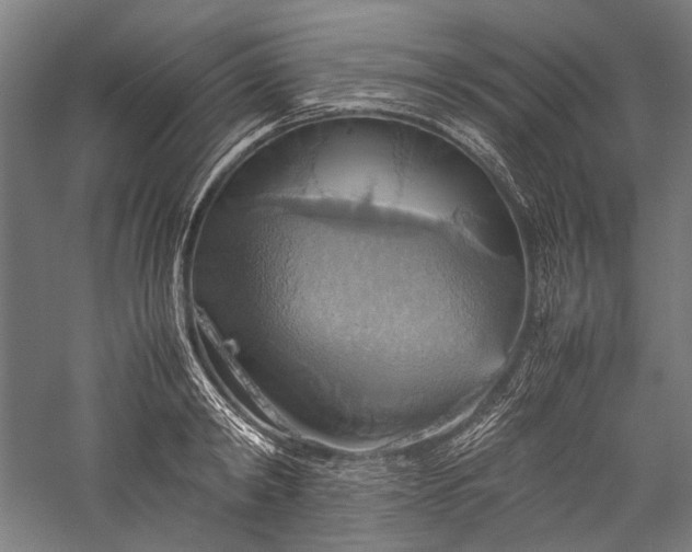 X0000057040798200509231446