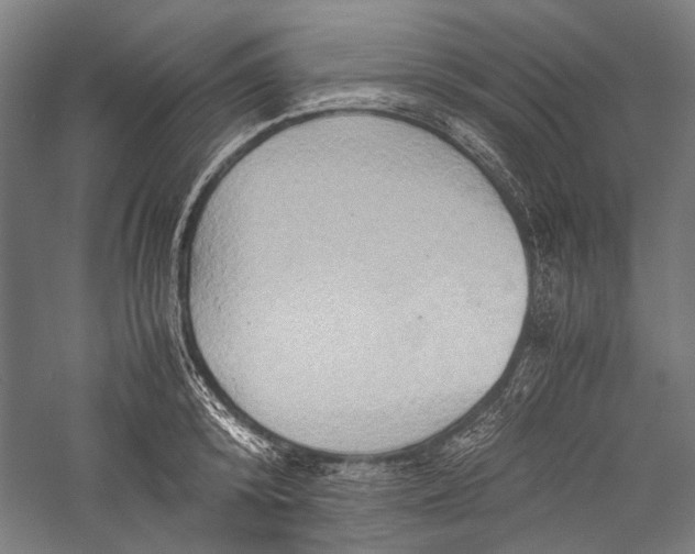 X0000057040800200509231445