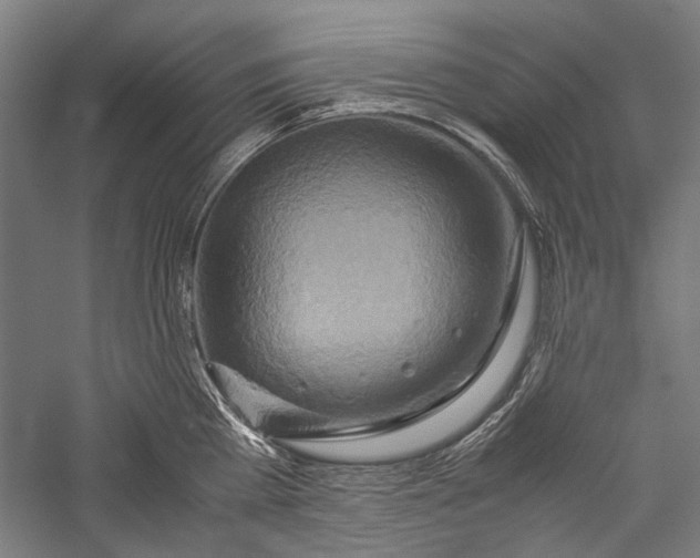 X0000057040809200509231445