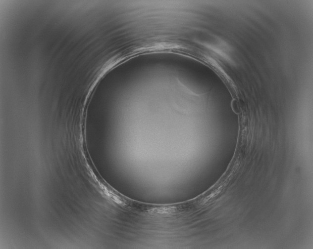 X0000057040810200509231445