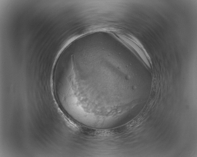 X0000057040811200509231445