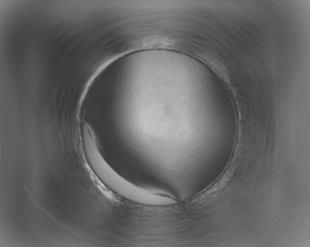 X0000057040816200509231445