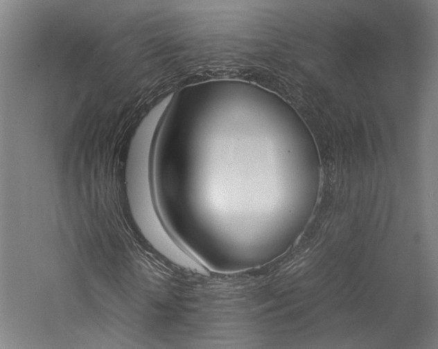 X0000057040818200509231444