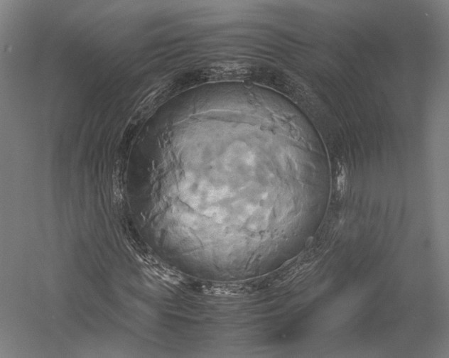 X0000057040819200509231444