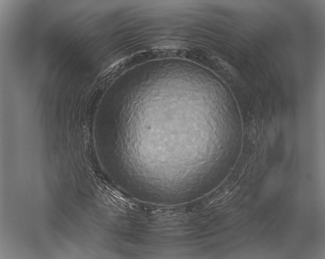 X0000057040821200509231444