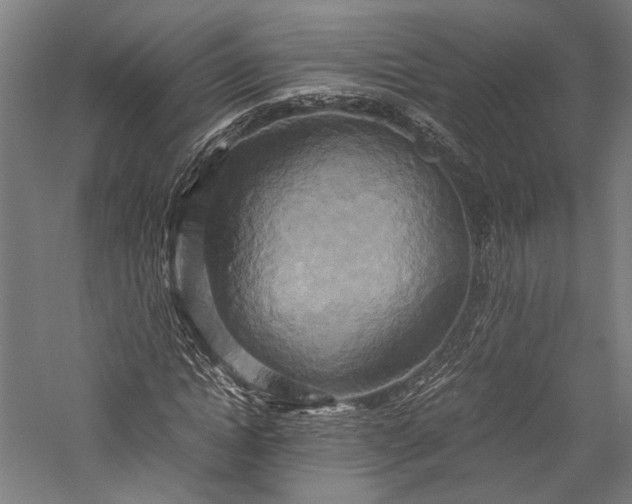 X0000057040822200509231444