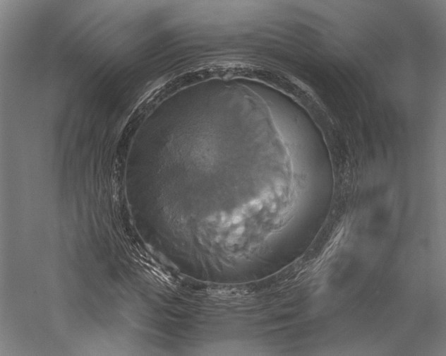 X0000057040823200509231444