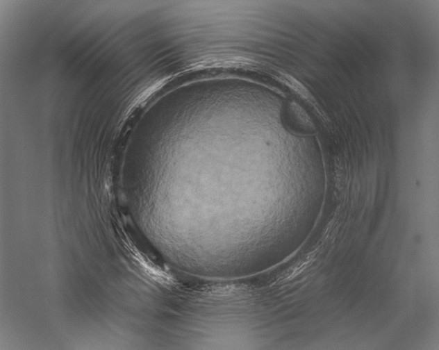 X0000057040826200509231445