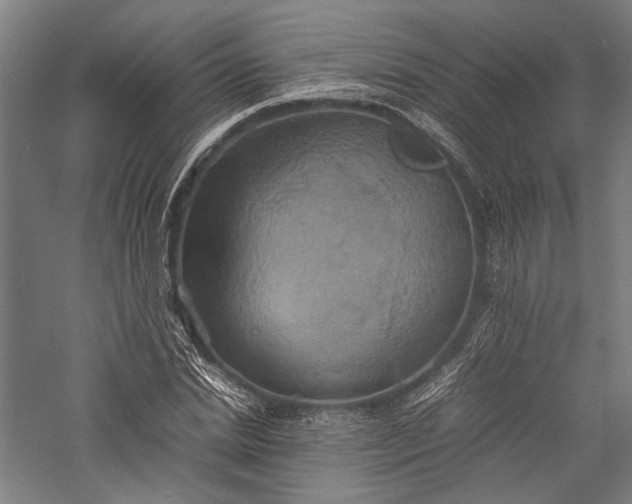 X0000057040830200509231445