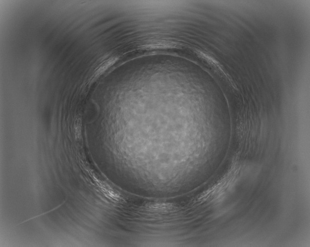 X0000057040833200509231445