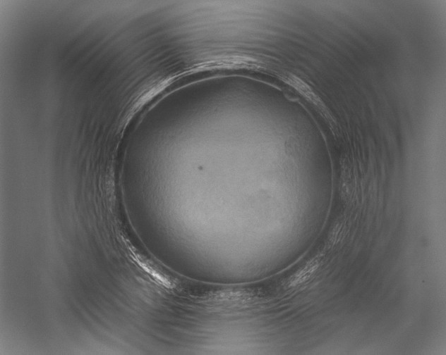 X0000057040834200509231445