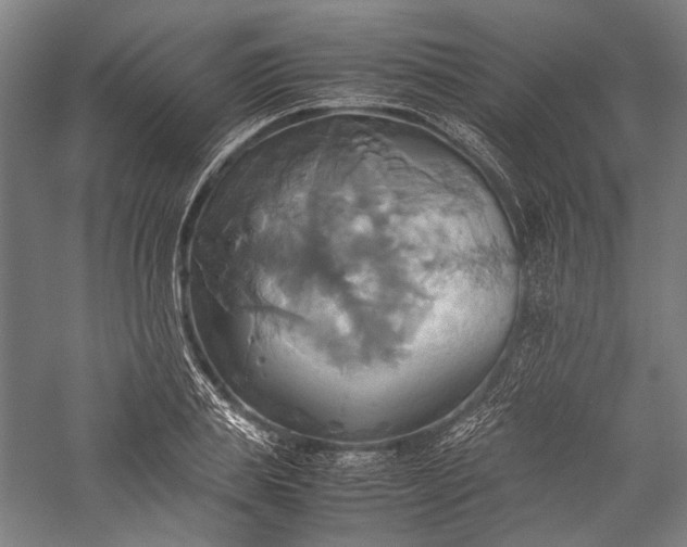 X0000057040839200509231445