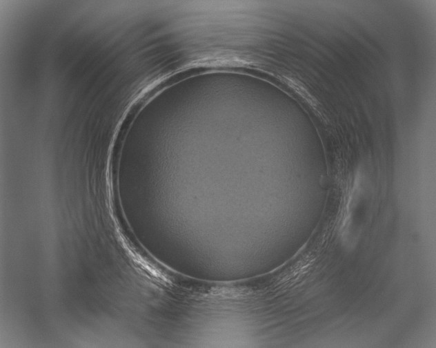 X0000057040840200509231445