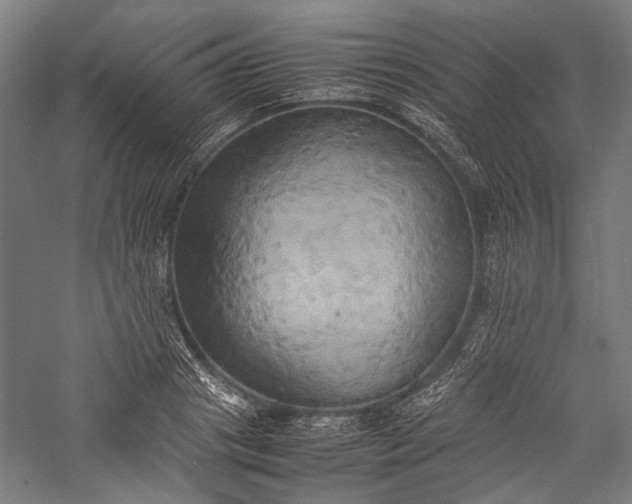 X0000057040841200509231445