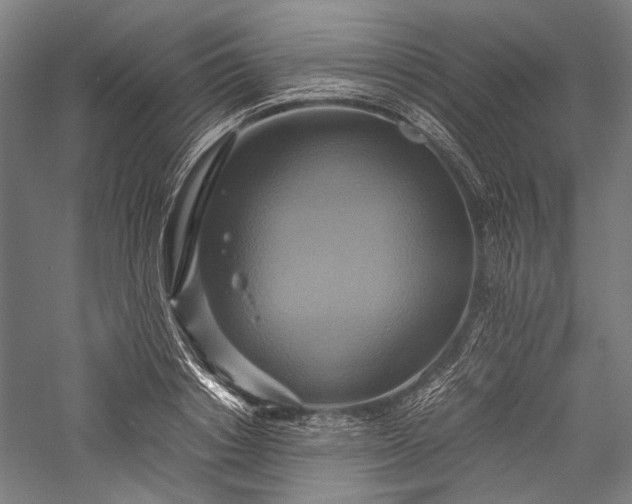 X0000057040842200509231445