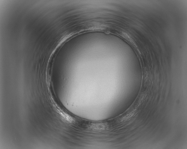 X0000057040843200509231445