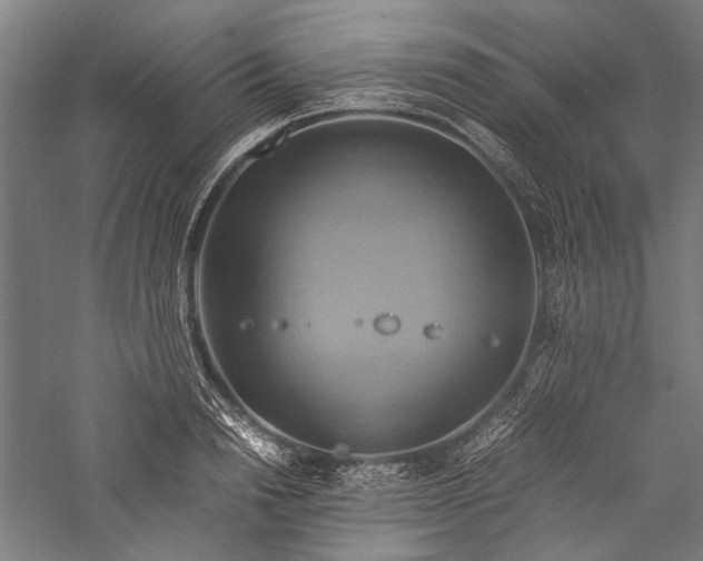X0000057040846200509231445